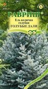 Ель голубая (колючая) Голубые дали Гавриш