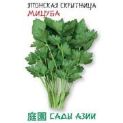 Скрытница японская (петрушка) Мицуба (цв.пак) Сады Азии